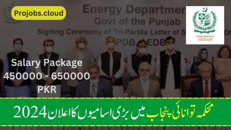 Latest Energy Department Punjab New Jobs 2024 Application Form